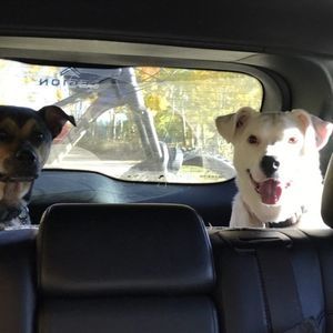 Meet your Posher, Deb